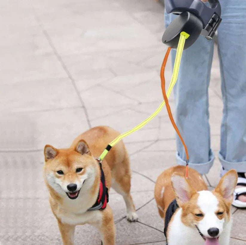 LeashEase™ – Det har aldrig varit så smidigt att gå ut med din hund!