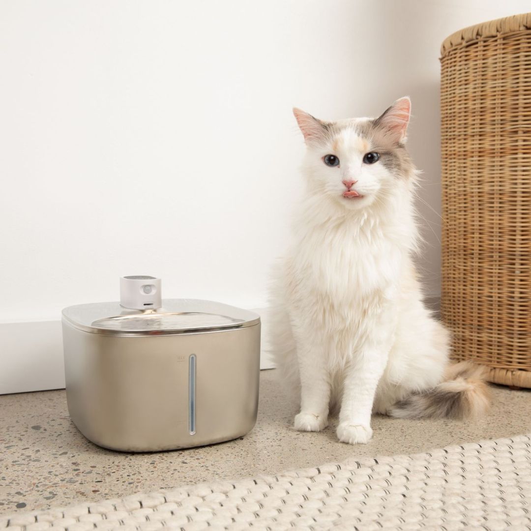 KattKälla™ – Rinnande friskt vatten – för en glad och hälsosam katt.