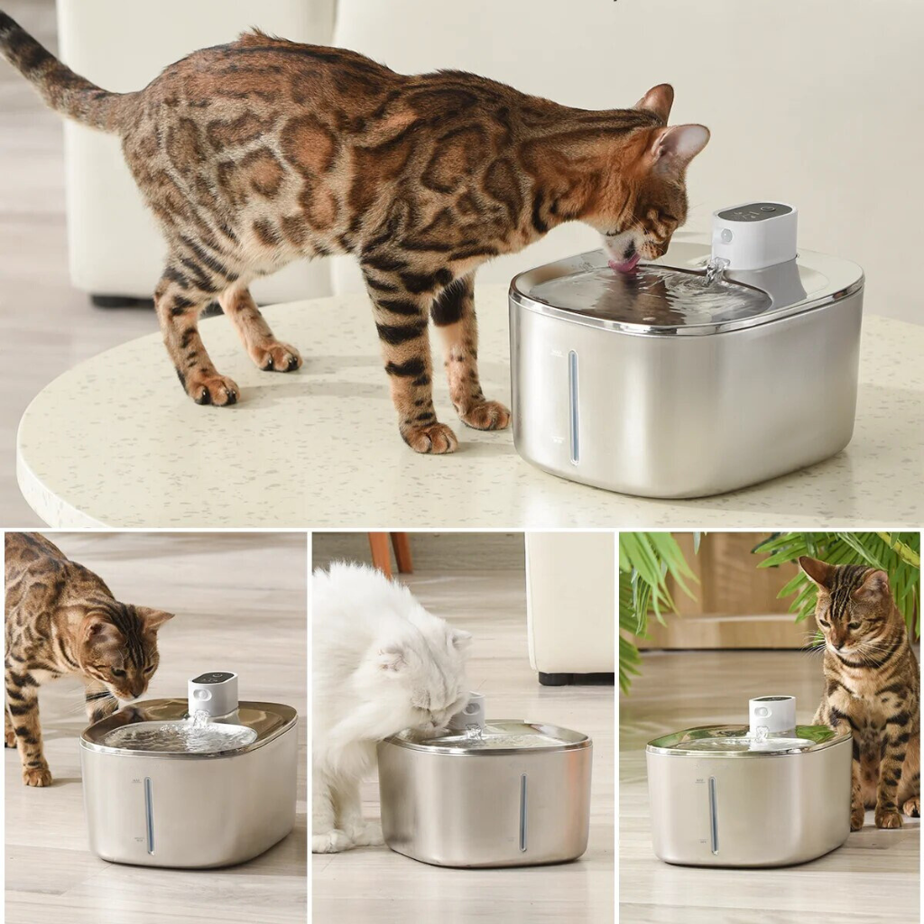 KattKälla™ – Rinnande friskt vatten – för en glad och hälsosam katt.