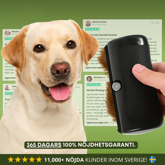 LuddLugn™ - För ett hem utan päls och en hund som njuter.