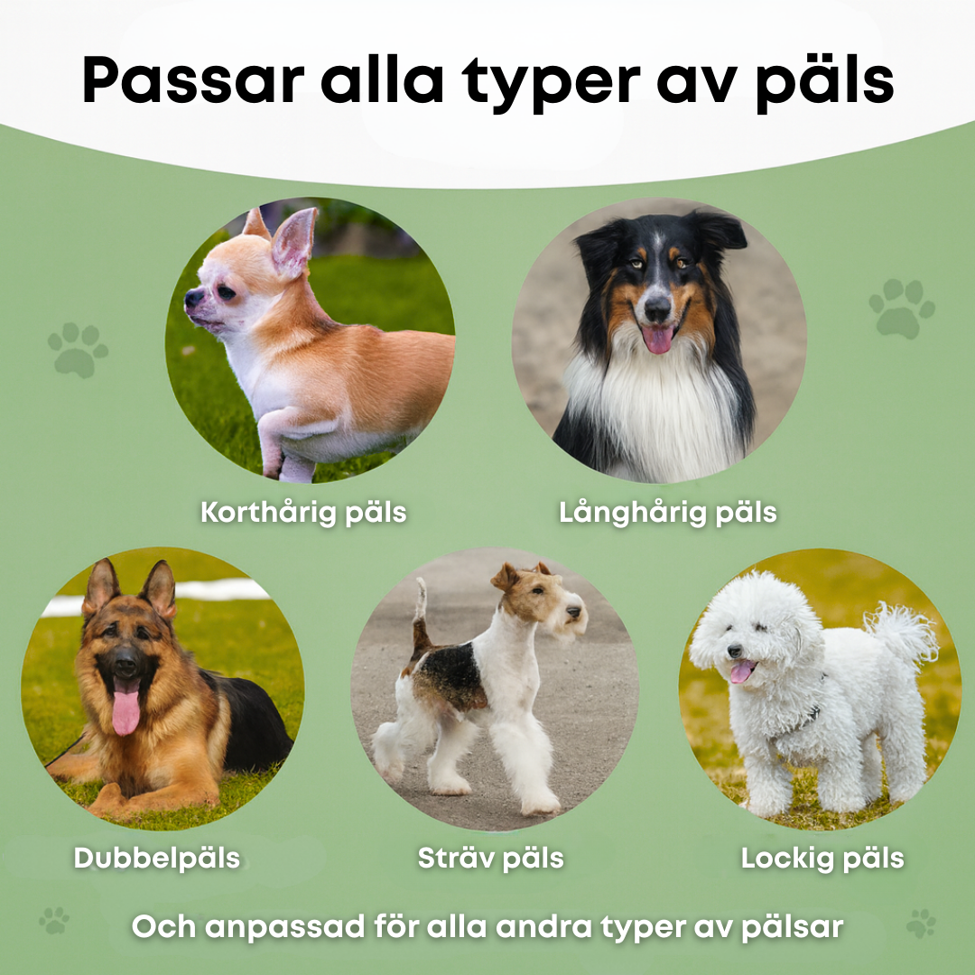 LuddLugn™ - För ett hem utan päls och en hund som njuter.