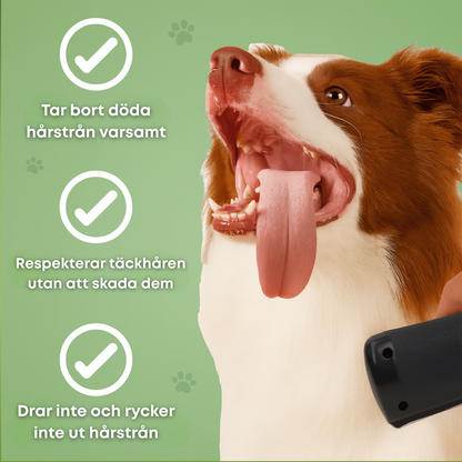 LuddLugn™ - För ett hem utan päls och en hund som njuter.