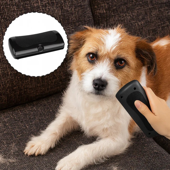 LuddLugn™ - För ett hem utan päls och en hund som njuter.