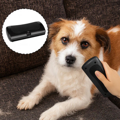 LuddLugn™ - För ett hem utan päls och en hund som njuter.