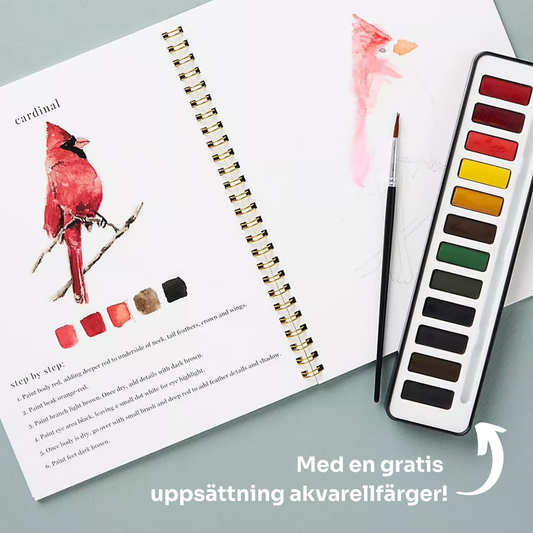 NordAkvarell™ | Upptäck färgernas magi – måla, skapa, njut!